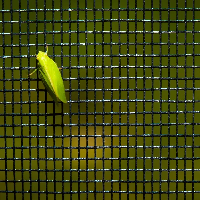 Protection from Bugs