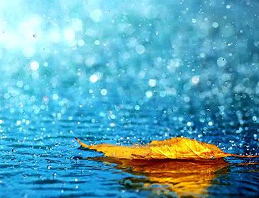 Prevent Water Damage