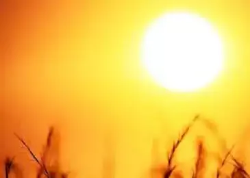 Reduce Heat